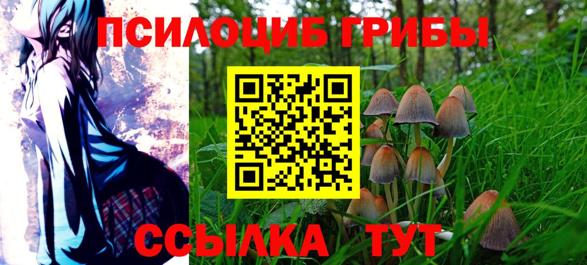 Псилоцибиновые грибы мицелий  Вход с VPN  Псилоцибиновые грибы Cubensis  Лабинск 