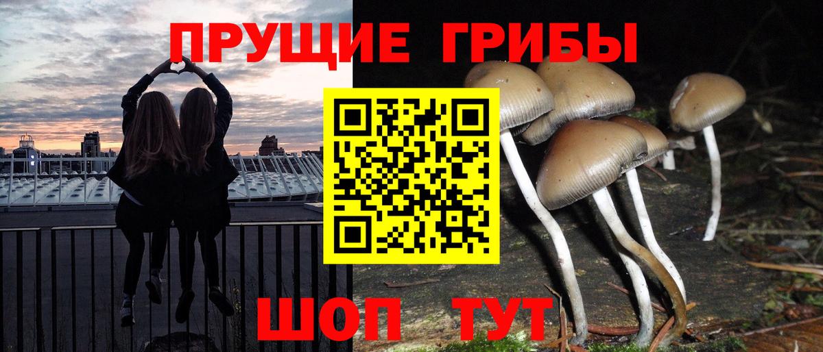 Галлюциногенные грибы Magic Shrooms Лабинск